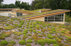 /attachments/5bdd0055-b7be-11e4-a9fb-bc764e2038f2/Green Roof at Walter Reed Community Center (3926468274_1185491b6b_m).jpg